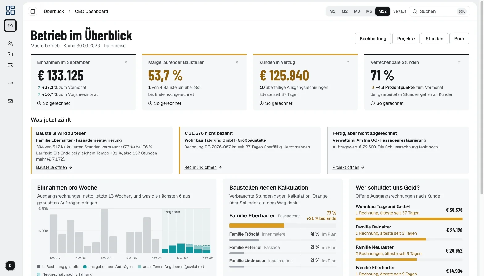 werkflow CEO-Dashboard der Demo mit Umsatz, Projektmargen und offenen Rechnungen (Musterdaten)